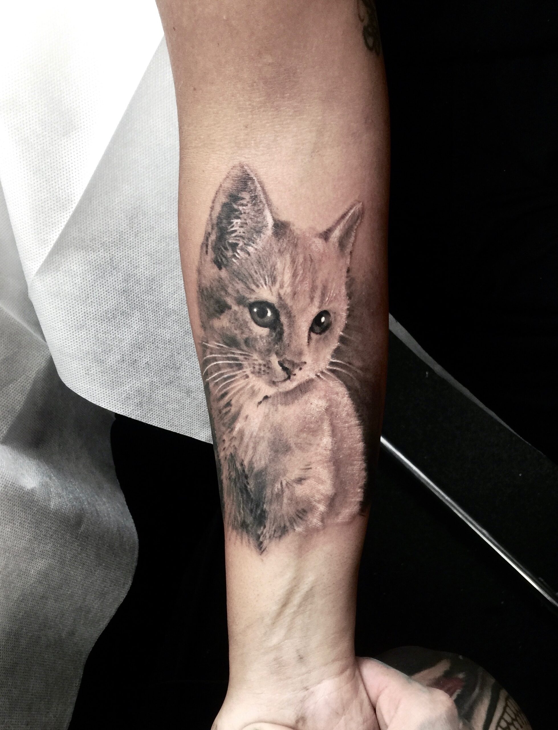 zhuo dan ting tattoo work cat tattoo卓丹婷纹身作品 猫咪纹身 1
